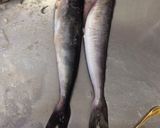手間かける分だけ美味くなる！魚の下処理★作り方6写真