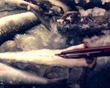 手間かける分だけ美味くなる！魚の下処理★作り方7写真