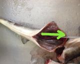 手間かける分だけ美味くなる！魚の下処理★作り方8写真