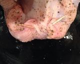 ソース◎！丸鶏クリスマスローストチキン♪作り方2写真