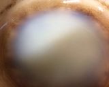 生塩糀鍋のだし作り方2写真