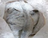 骨までパクパク♪ハタハタの唐揚げ作り方5写真