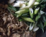 簡単おいしい肉豆腐作り方2写真
