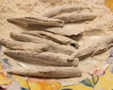 ワカサギ(SMELT)の南蛮漬け ♪作り方4写真