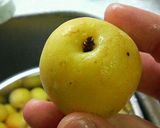 1週間で出来る梅ジュース作り方1写真