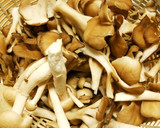 たっぷりきのこと昆布佃煮の炊き込みご飯作り方1写真