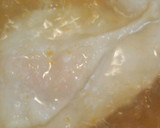 かぼちゃの煮物（とろろでどうぞ＾＾）作り方3写真