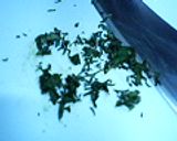 白身魚のハーブパン粉焼作り方1写真