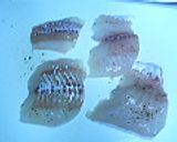 白身魚のハーブパン粉焼作り方2写真