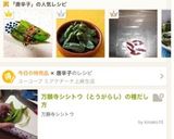 万願寺唐辛子(甘唐辛子)の胡麻油炒め作り方4写真