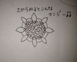 お誕生日ちらし寿し〜きゅうりの花〜作り方8写真