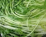 大量消費！水菜餃子作り方1写真
