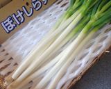 ぼけしらずネギのほっとマリネ作り方4写真