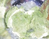 アボカドとガリで簡単絶品タルタルソース！作り方2写真