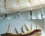 ☆アナゴの白焼き☆えてもん流作り方3写真
