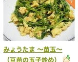 みょうたま 〜苗玉〜（豆苗の玉子炒め）作り方6写真