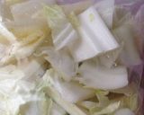 白菜の冷凍保存♫作り方1写真