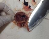簡単！肉屋さんの鶏レバーさばき方作り方4写真