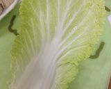 |・) 白菜と豚肉の重ね蒸し(余り物編)作り方9写真