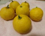 ゆず酒(果実酒)経過日記作り方2写真