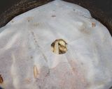 ワカサギの炊いたん（あっさり山椒）作り方7写真