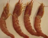カチュッコ / 魚介のトマト煮込み作り方7写真