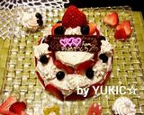 誕生日ケーキ♡２段デコ♡クリスマスにも作り方6写真