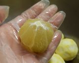 ゆず酒(果実酒)経過日記作り方7写真