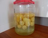 ゆず酒(果実酒)経過日記作り方13写真