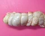 簡単！チキンロール （照り焼き）作り方4写真