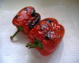 赤ピーマンのイタリア風サラダ作り方1写真