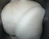 炊飯器とHBでお餅が作れます（追記有）作り方4写真