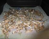 食べる煮干しで作る田作り作り方1写真