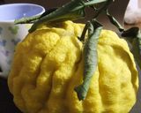 まるごと食べれる鬼柚子の甘煮作り方1写真