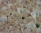 ふわっと柔らかジューシー★蟹＆豚肉焼売★作り方6写真