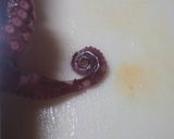 私の酢ダコ作り方3写真