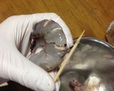 魚屋さん身プリエビトマト広島カルパッチョ作り方2写真