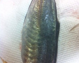 簡単な鯵の皮とゼイゴの取り方作り方1写真