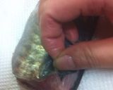 簡単な鯵の皮とゼイゴの取り方作り方3写真