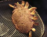 絶品ローストビーフ ノンフライヤーで♪作り方2写真