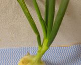 パパの新玉ねぎスライス作り方1写真