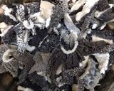ホルモンの味噌煮込み（土手煮、土手焼き）作り方4写真