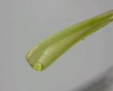 ♪男の料理!サーモンで簡単おつまみ♪作り方3写真