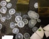 キレイな色の簡単七草粥♪作り方2写真