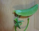 面倒なスナップえんどうの筋とり作り方4写真