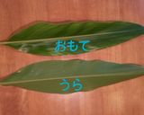 ムーチー　の包み方作り方1写真