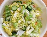 白菜の漬け物作り方1写真