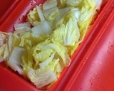 白菜と水菜の柚子マリネ作り方1写真