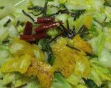 １日で食べられる簡単おいしい白菜の漬け物作り方3写真
