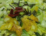 １日で食べられる簡単おいしい白菜の漬け物作り方3写真